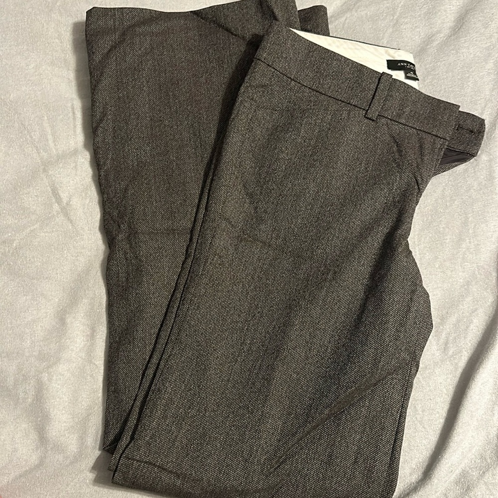 Ann Taylor Double Lined Grey Dress Pants